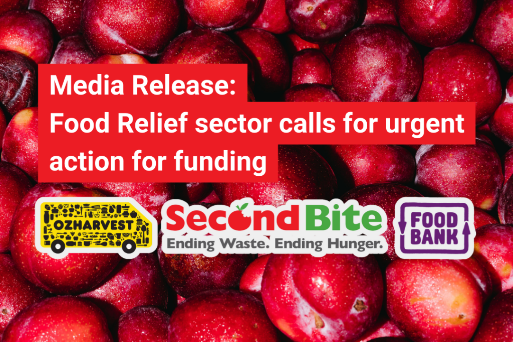 Food relief sector calls for urgent action on funding